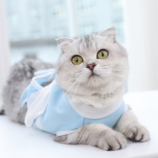 Cat Summer Recovery Suit 😻 | Breathable Anti-Lick Outfit (Blue & White)