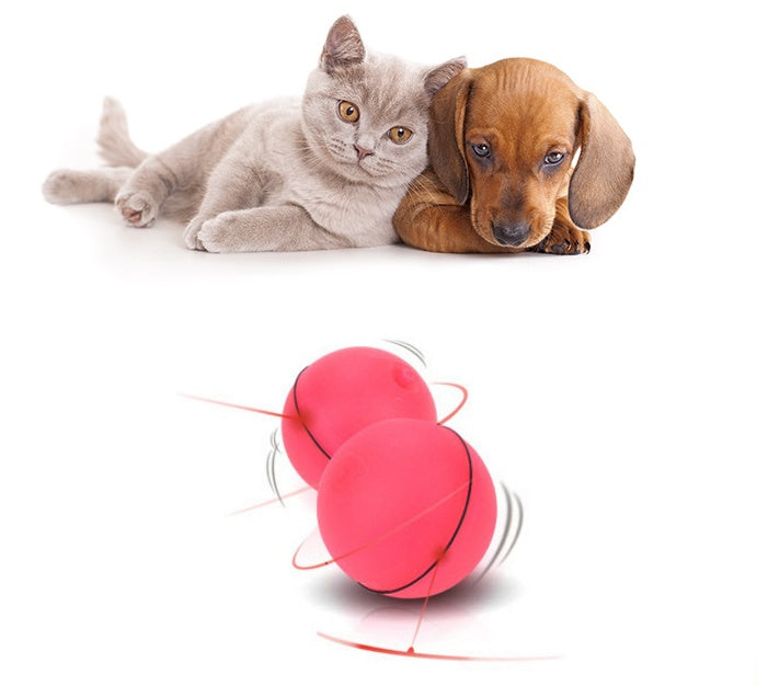 Smart Rolling Laser Ball for Cats | USB Rechargeable LED Toy (Auto Movement)