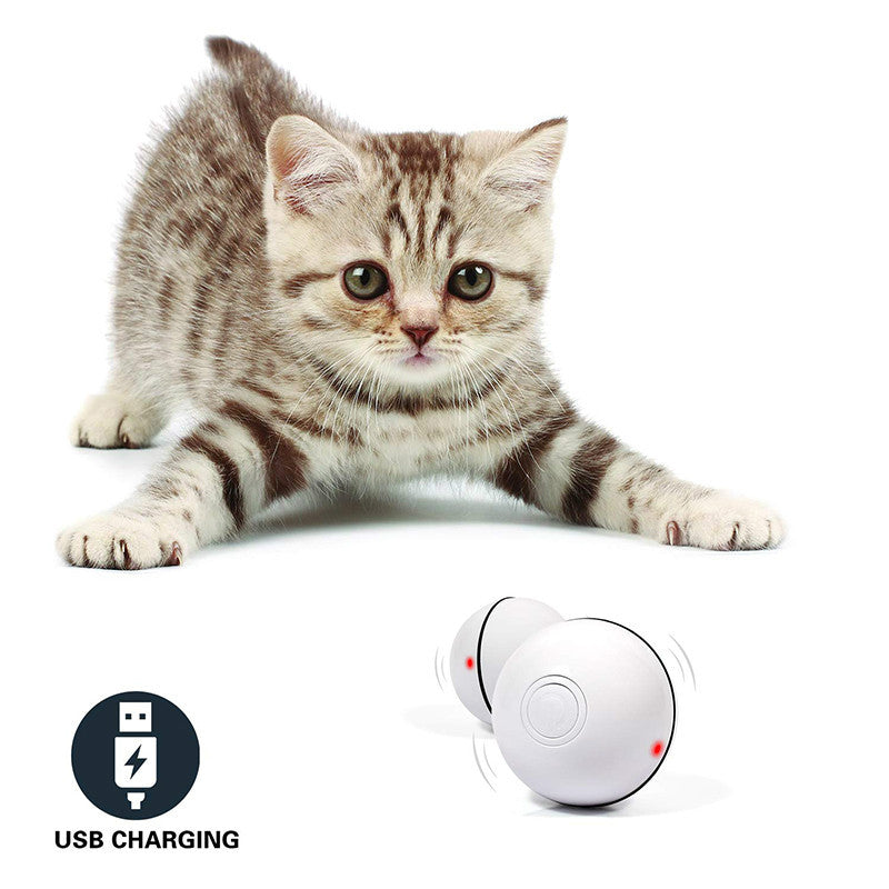 Smart Rolling Laser Ball for Cats | USB Rechargeable LED Toy (Auto Movement)