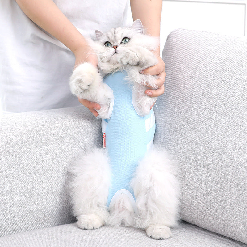 Cat Summer Recovery Suit 😻 | Breathable Anti-Lick Outfit (Blue & White)
