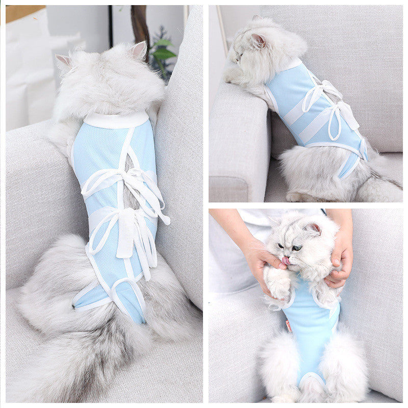 Cat Summer Recovery Suit 😻 | Breathable Anti-Lick Outfit (Blue & White)
