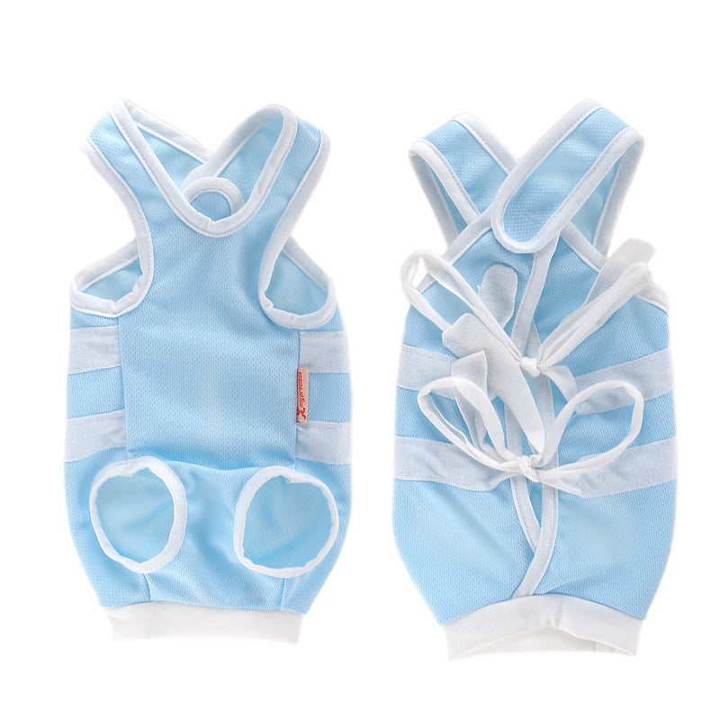 Cat Summer Recovery Suit 😻 | Breathable Anti-Lick Outfit (Blue & White)