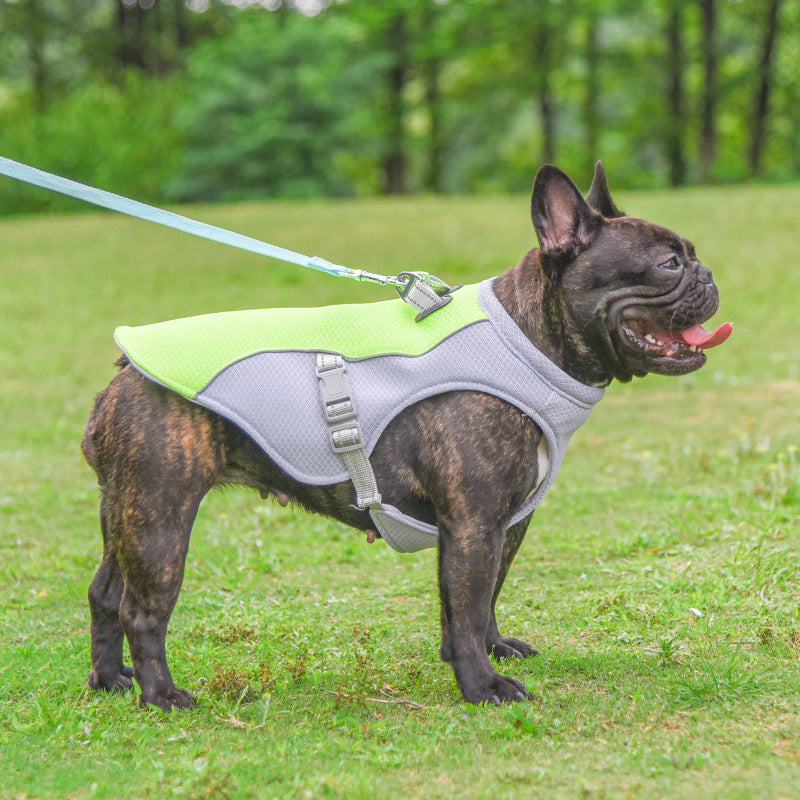 Summer Protection Cooling Vest For Dogs
